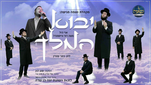 Ari Hill & Moshe Dovid Weissmandl - Yuvoi Hamelech