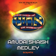 Acheinu - Amudai Shaish Medley (Acapella)