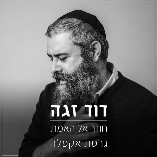 David Zaga - Chozer El Haemet