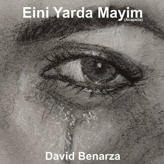 David Benarza - Eini Yarda Mayim