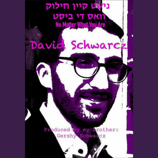 David Schwartz - No Matter What You Are