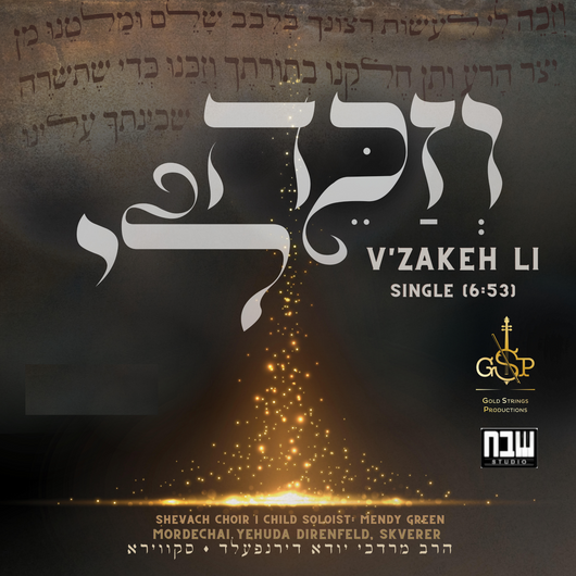 V'zakeh Li - Mordechai Yehuda Direnfeld
