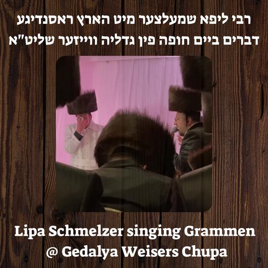 Lipa singing Grammen @ Gedalya Weisers Chupa
