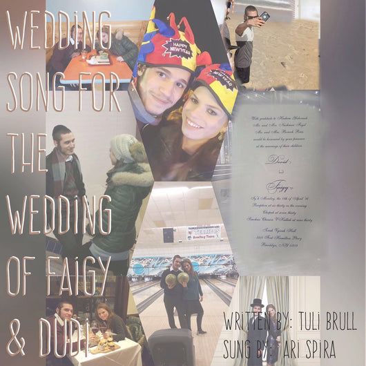 Ari Spira - Dudi & Faigy's Wedding Song