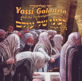 Yossi Goldstein - Ribono Shel Olam