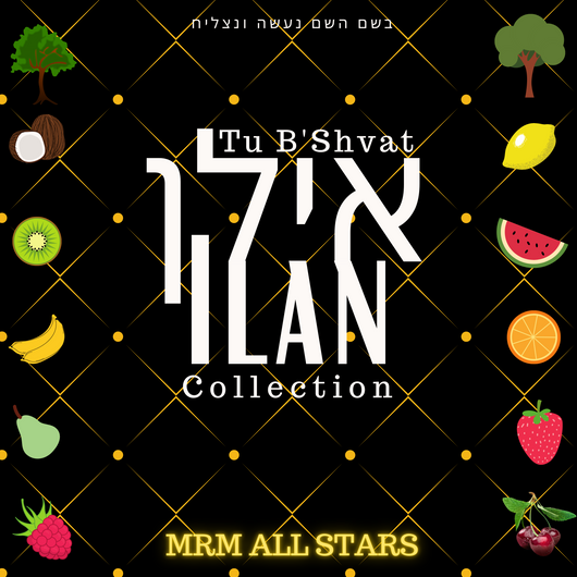 Ilan Collection - MRM All Stars