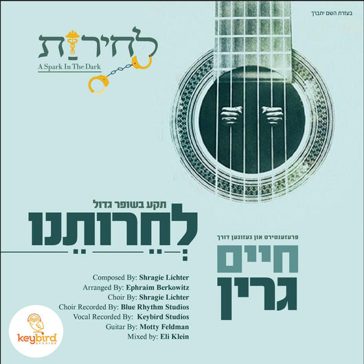 Chaim Green - Lecheiroseinu