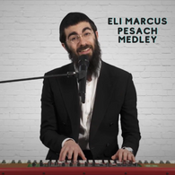 Eli Marcus - Pesach Medley