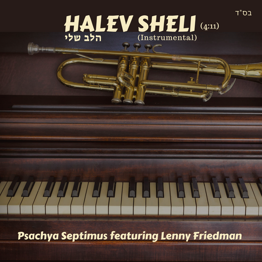 Halev Sheli (Instrumental) Psachya Septimus featuring Lenny Friedman