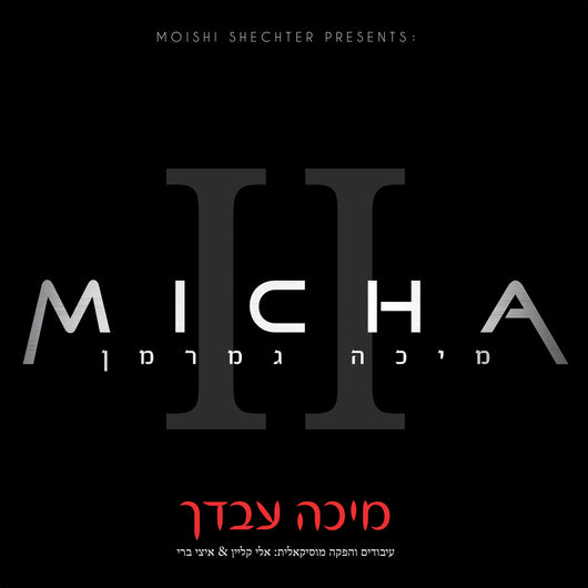 Micha Gamerman - Micho Avdecha