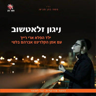 Ari Reich - Nigun Zlotchev