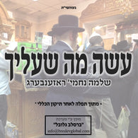 Shlomo Nechemya Rosenberg - Ose Ma Shealecha