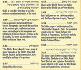 Yossi Goldstein - Ribono Shel Olam