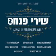 Shirei Pinchas 2