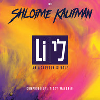 Shloime Kaufman - Li Acapella