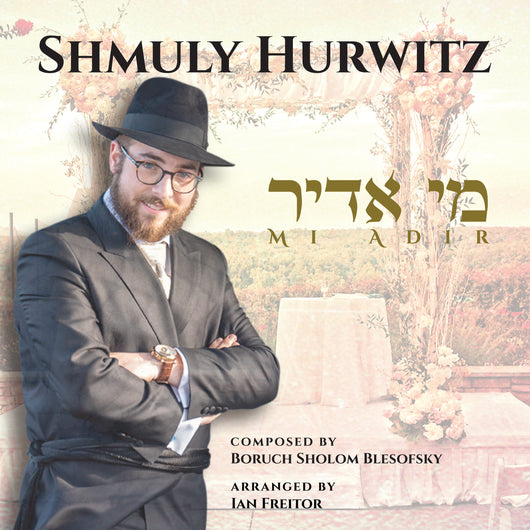 Shmuly Hurwitz - Mi Adir