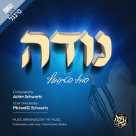 Shmili Steinmetz - Nodeh