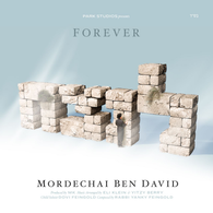 Mordechai Ben David - Forever