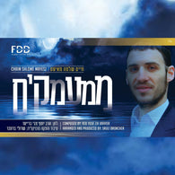 Chaim Shlomo Mayesz - Mimamakim