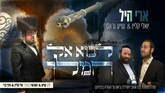 Yoeli Klein & Shaya Gross - Luvoi El Hamelech