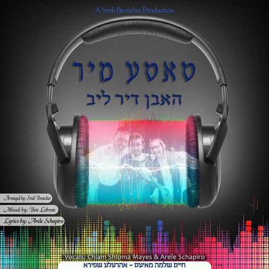 Chaim Shlomo Mayesz & Ahrele Shapiro - Mir Hoben Dir Lib