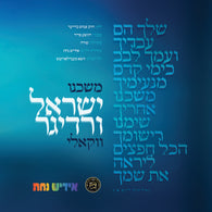 Yisroel Werdyger - Moshcheini - Acapella