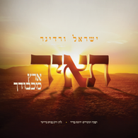 Yisroel Werdyger - Ta'ir