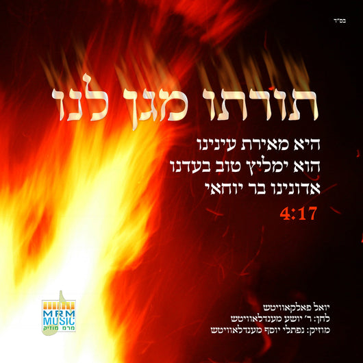 Toiruso - Yoely Falkowitz