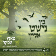 R Yoely Roth - Ich Bin Nisht Alein - Tantz Mit Emunah 4