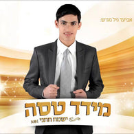 Meydad Tasa - Yismach Chatani