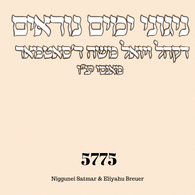 Yomim Noraim 5775 - Satmar Monsey