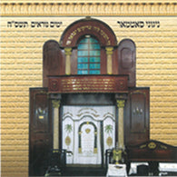 Yomim Noraim 5768- Nigunei Satmar