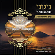 Yomim Noraim 5773 - Nigunei Satmar