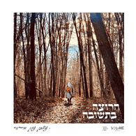 Nachman Dryer - Harotze B'Tshuva