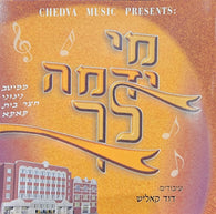 Dovid Kalish - Mi Yidame Lecha