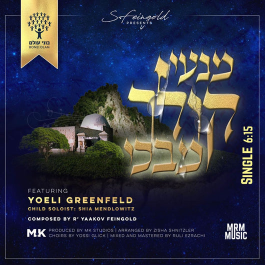 Yoely Greenfield - Mini Kolech Mibechi